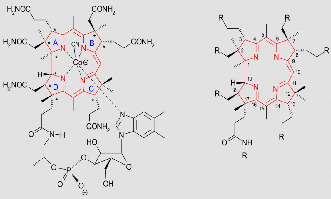 Vitamin B12 (Cobalamin) Stiftung G+E
