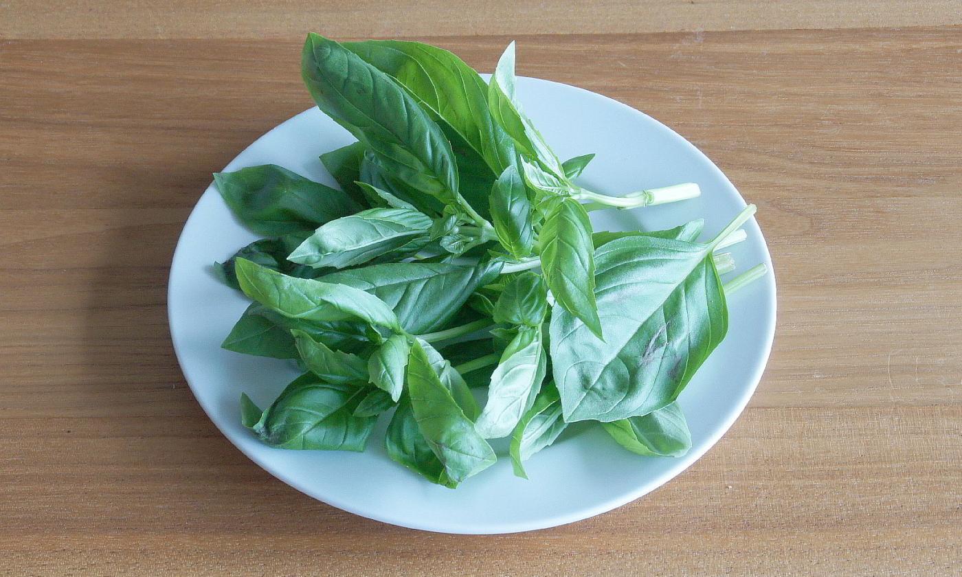 Basilico fresco su un piatto: il basilico è particolarmente apprezzato nella cucina italiana. Basilico fresco su un piatto: il basilico è particolarmente apprezzato nella cucina italiana.