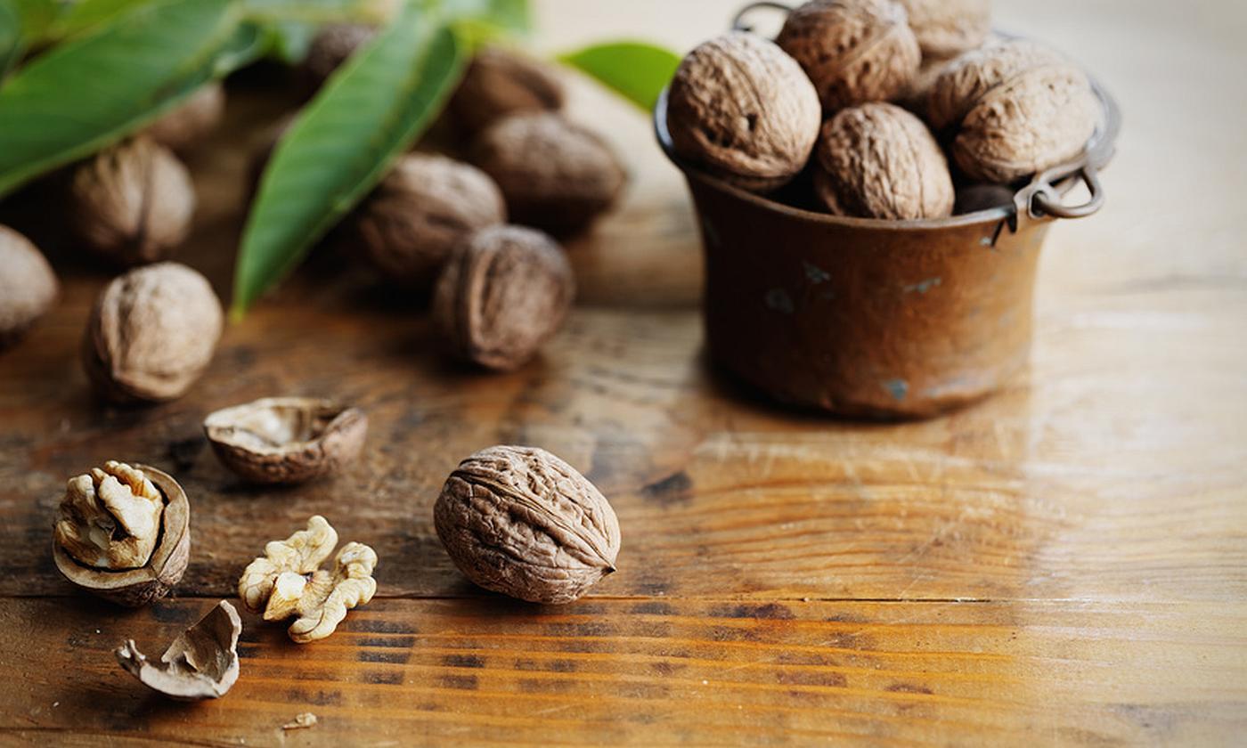 Walnuts—Juglans regia: Walnuts in a small copper pot and scattered on a table. Walnuts—Juglans regia: Walnuts in a small copper pot and scattered on a table.