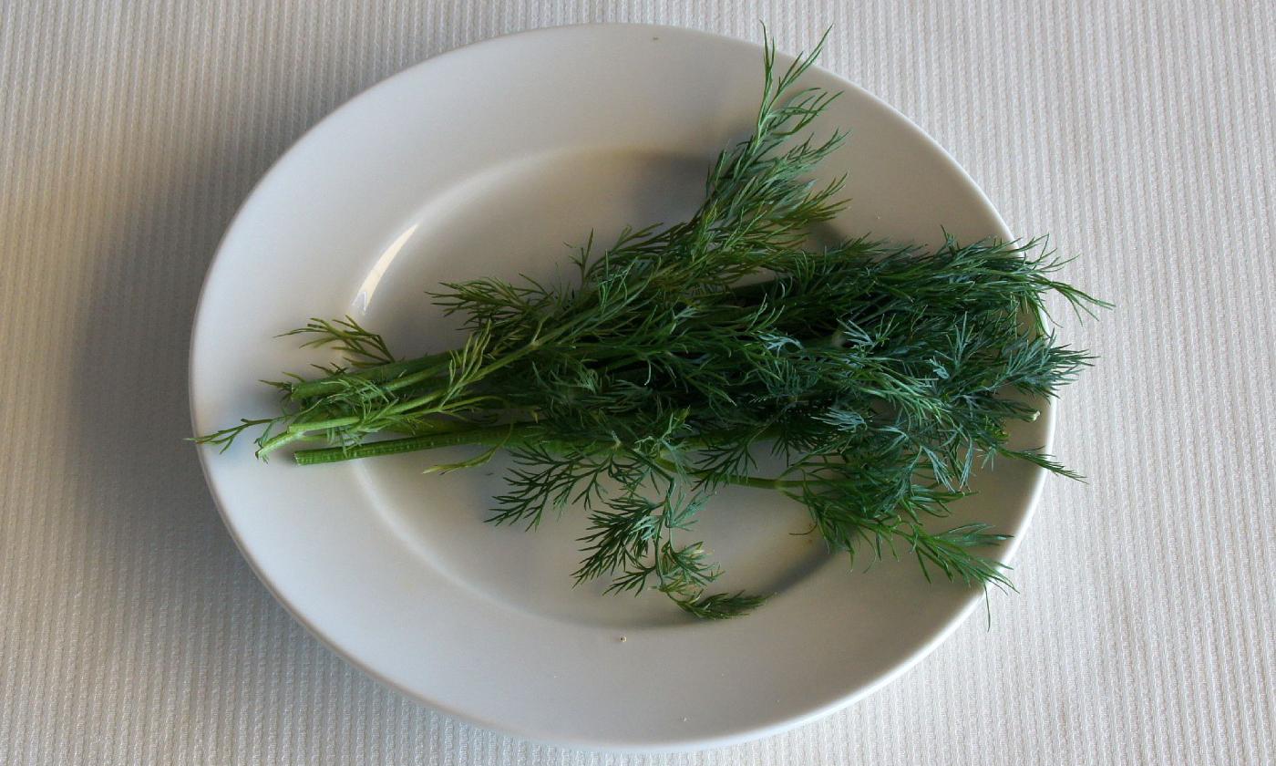 Fresh dill