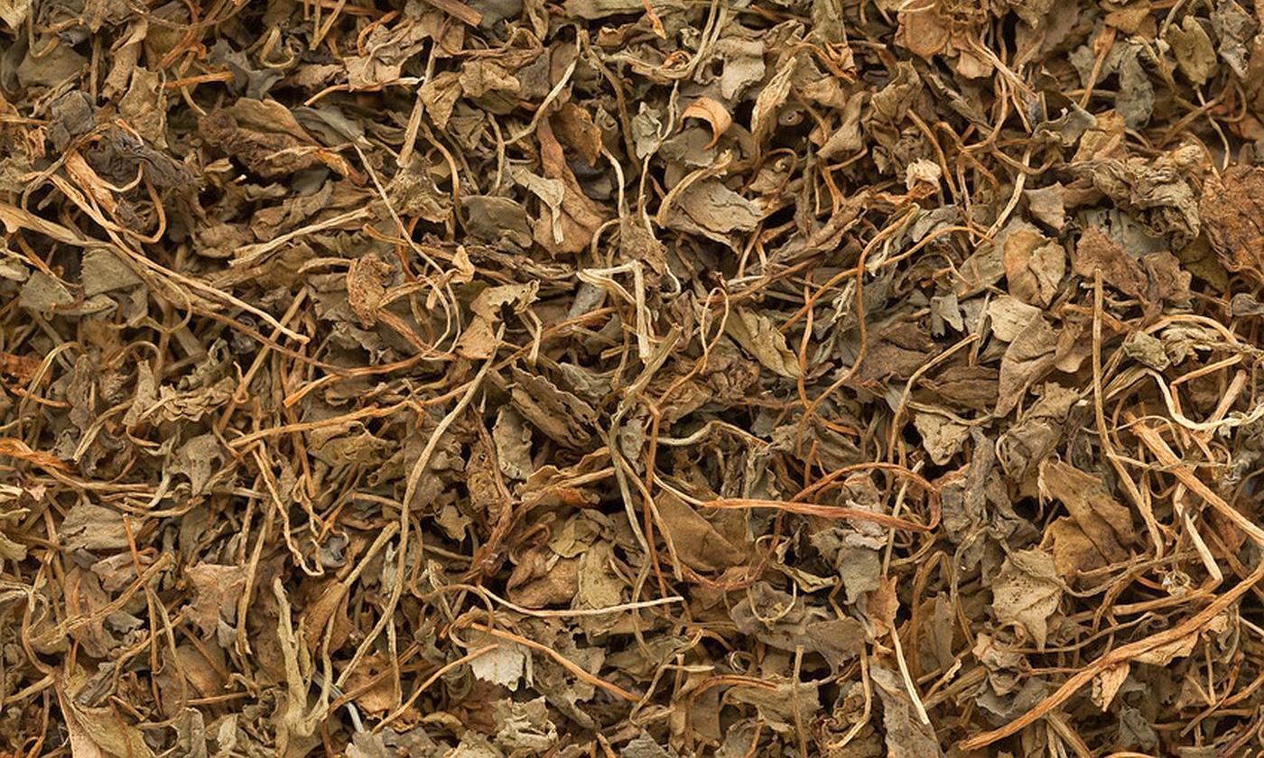 Высушенные листья пажитника (Kasoori methi) распространяются по поверхности. Высушенные листья пажитника (Kasoori methi) распространяются по поверхности.