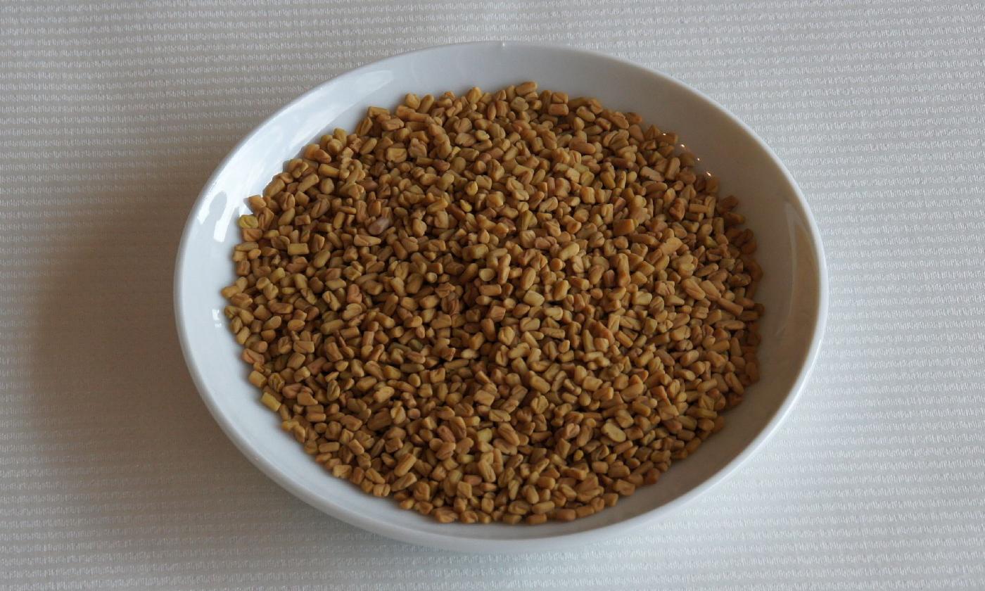 Semillas de alholva en un cuenco blanco. Estas semillas se usan como especia. Semillas de alholva en un cuenco blanco. Estas semillas se usan como especia.