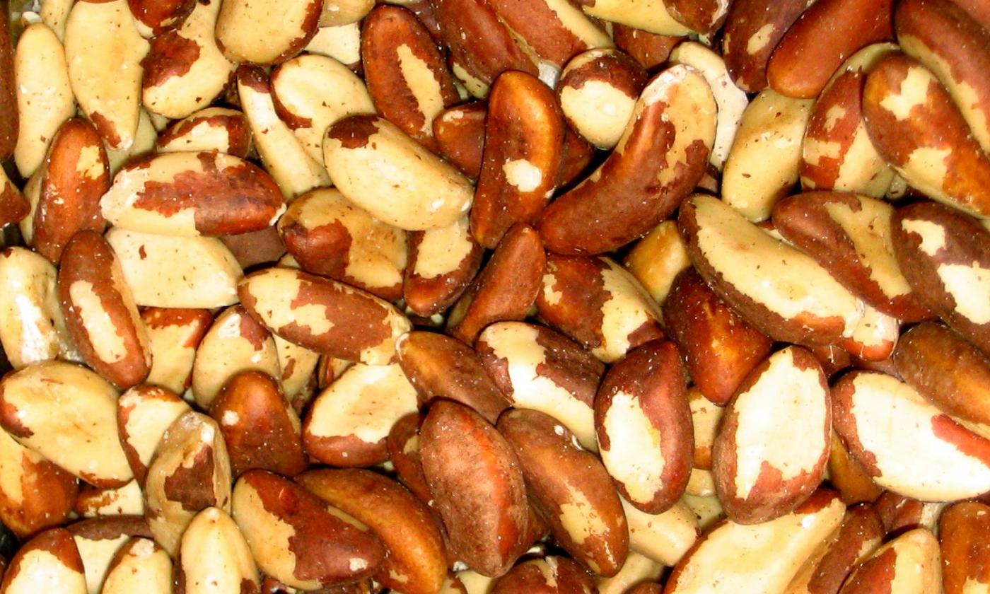 Picture shows a pile of dried Brazil nuts (Bertholletia excelsa). Picture shows a pile of dried Brazil nuts (Bertholletia excelsa).