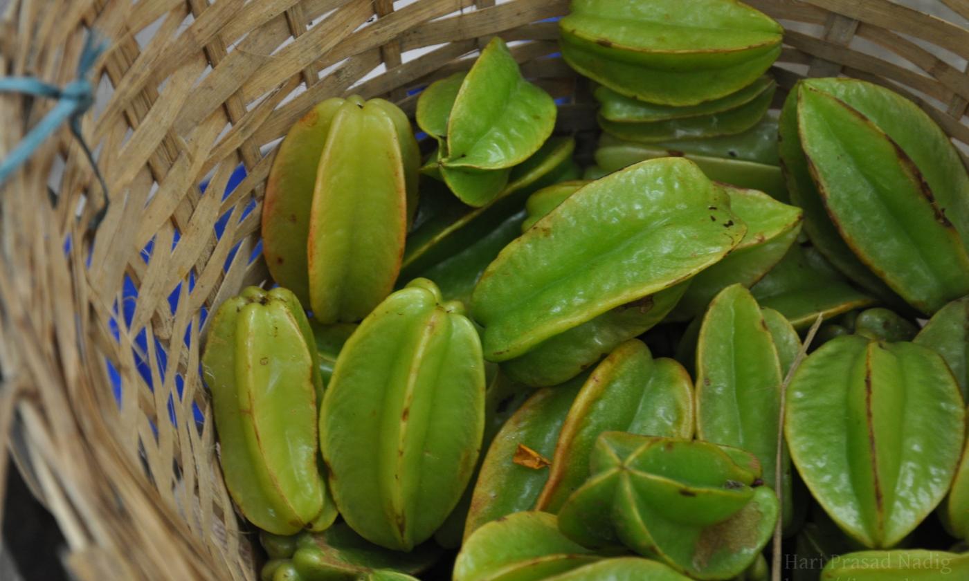 Rohe und unbehandelte Sternfrüchte bzw. Karambolas (Averrhoa carambola) in geflochtenem Holzkorb. Rohe und unbehandelte Sternfrüchte bzw. Karambolas (Averrhoa carambola) in geflochtenem Holzkorb.