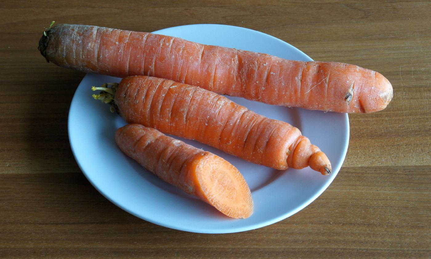 Carote su un piatto: la carota ha un sapore delicato, leggermente dolce. Carote su un piatto: la carota ha un sapore delicato, leggermente dolce.