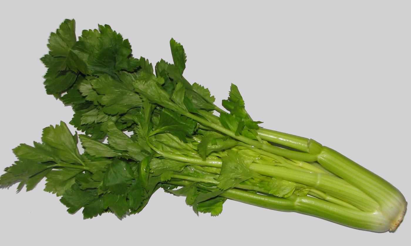 Vegetables: Celery, raw - Apium graveolens var. dulce. Vegetables: Celery, raw - Apium graveolens var. dulce.