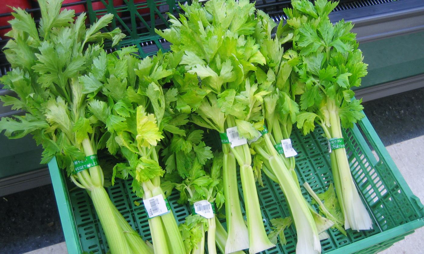 Vegetables, raw, untreated: celery, raw (Apium graveolens) Vegetables, raw, untreated: celery, raw (Apium graveolens)