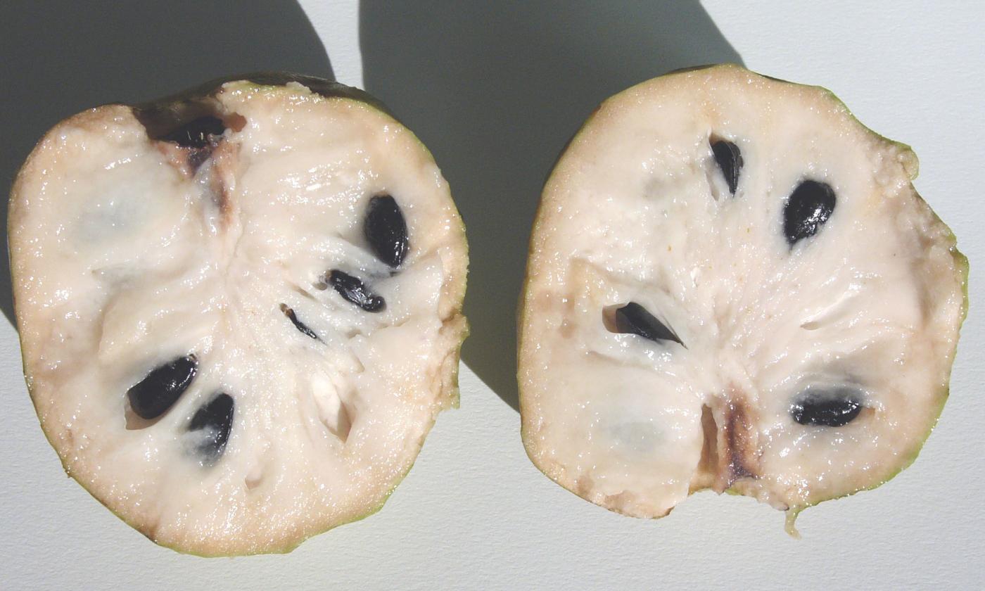 Two halves of a cut-up cherimoya, ready to be spooned out. Two halves of a cut-up cherimoya, ready to be spooned out.