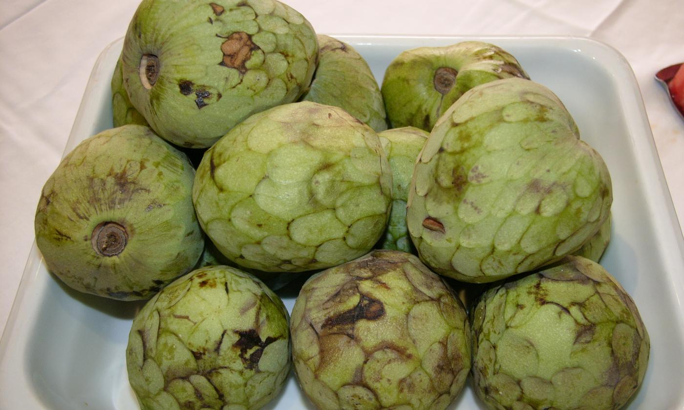 Cherimoyas - Annona cherimola - in a white square bowl. Cherimoyas - Annona cherimola - in a white square bowl.
