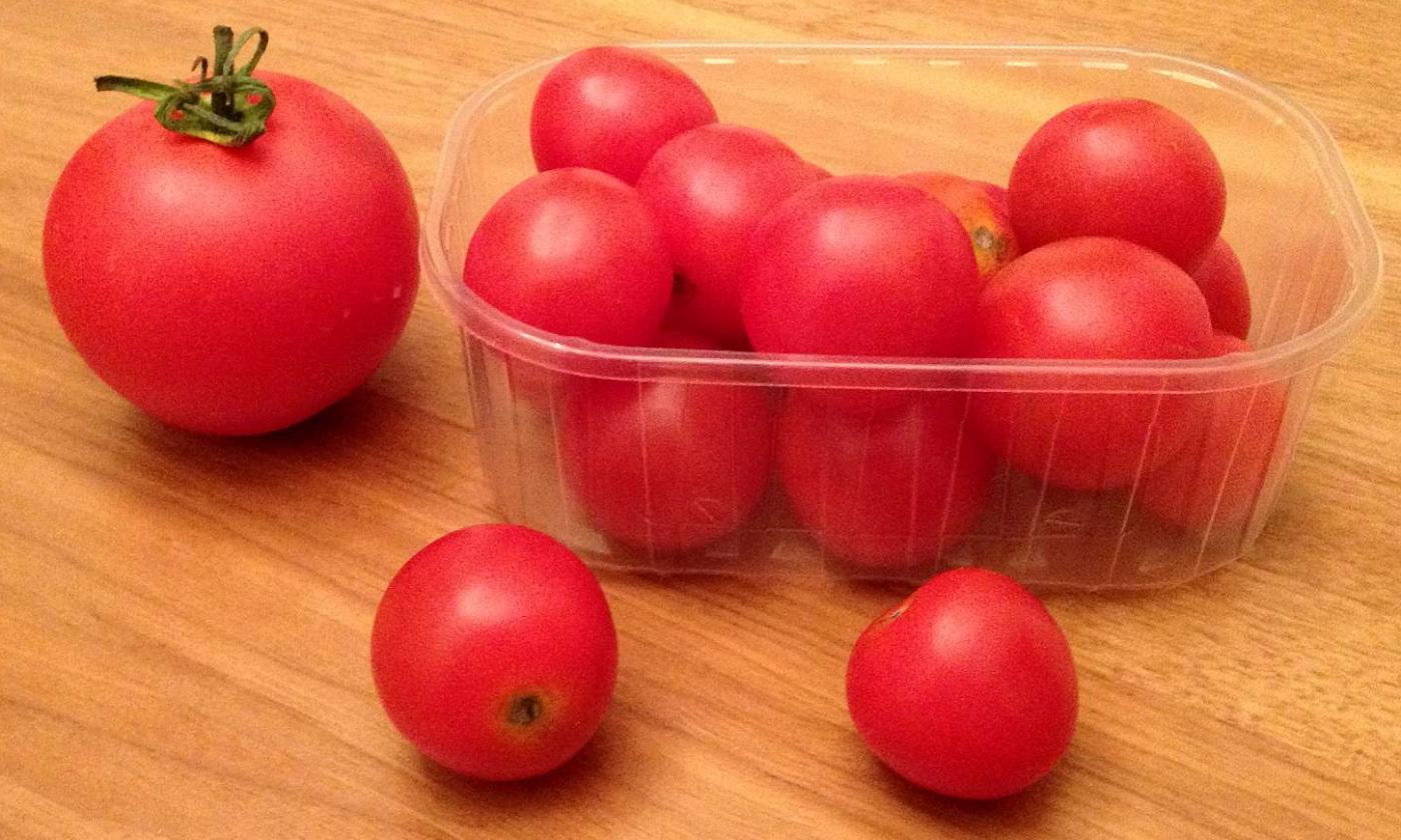Pomodorini, con un peso medio di 18 grammi, insieme a un pomodoro di 110 grammi. Pomodorini, con un peso medio di 18 grammi, insieme a un pomodoro di 110 grammi.