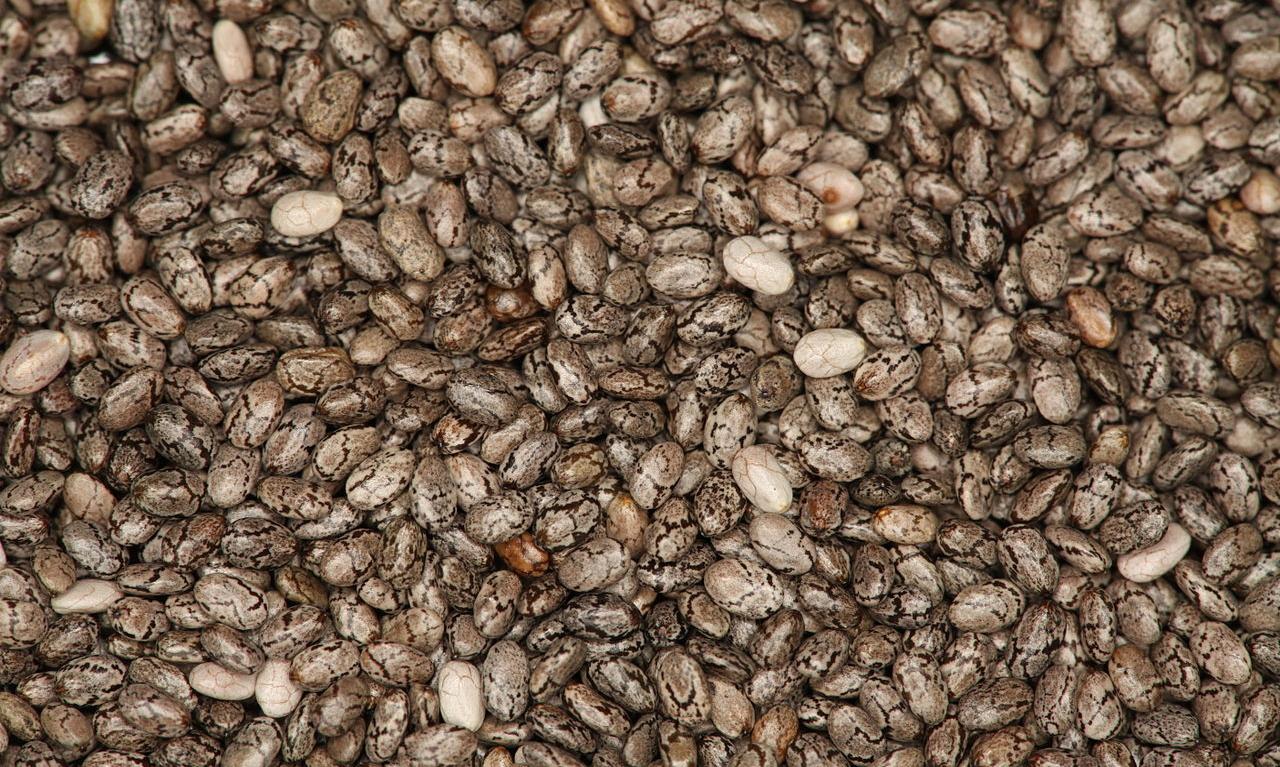 Close-up of chia seeds (Salvia hispanica). Length of each seed is about 2 mm Close-up of chia seeds (Salvia hispanica). Length of each seed is about 2 mm