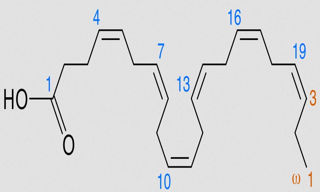 Fórmula estructural de DHA en conformación no lineal con numeración de ambos extremos.