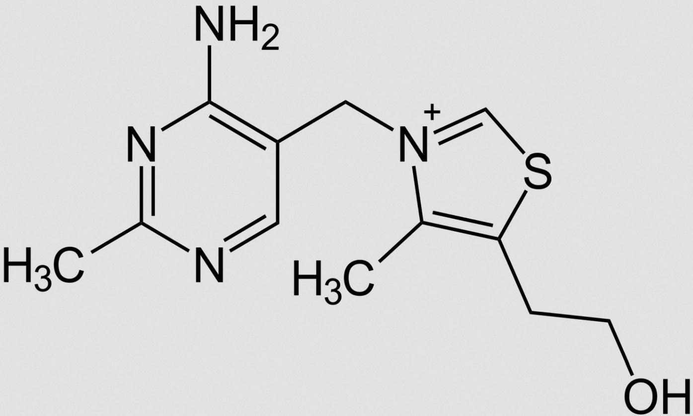 Thiamin (Vitamin B1)