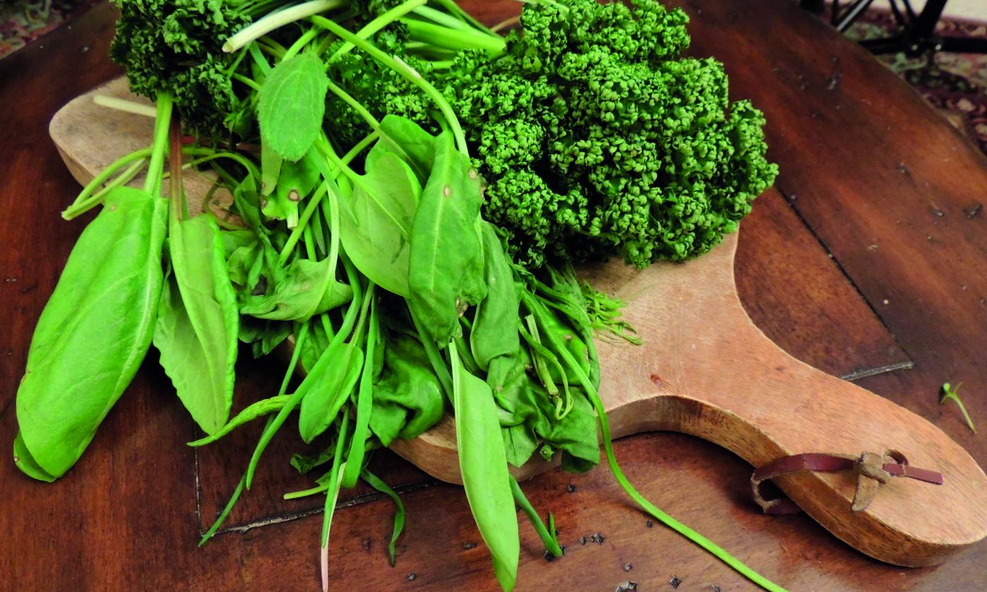 Herbs for the green sauce from the recipe Vegetable Strudel with Frankfurt Green Sauce