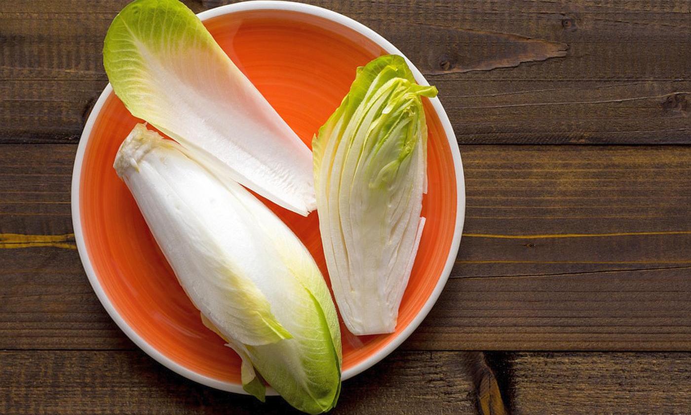 Di Bruxelles Samen Chicoree - Wintersalat zur Treiberei Brüsseler Witloof Di Bruxelles Samen Chicoree - Wintersalat zur Treiberei Brüsseler Witloof