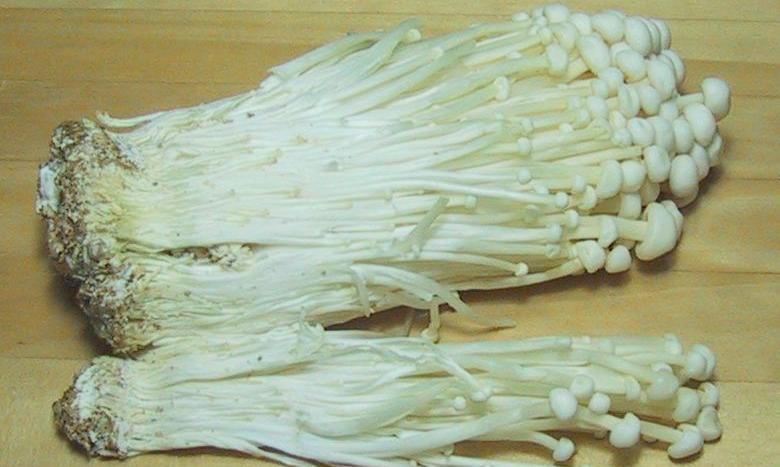 Cultivated velvet root, freshly harvested on a wooden table (Enokitake, Flammulina velutipes).