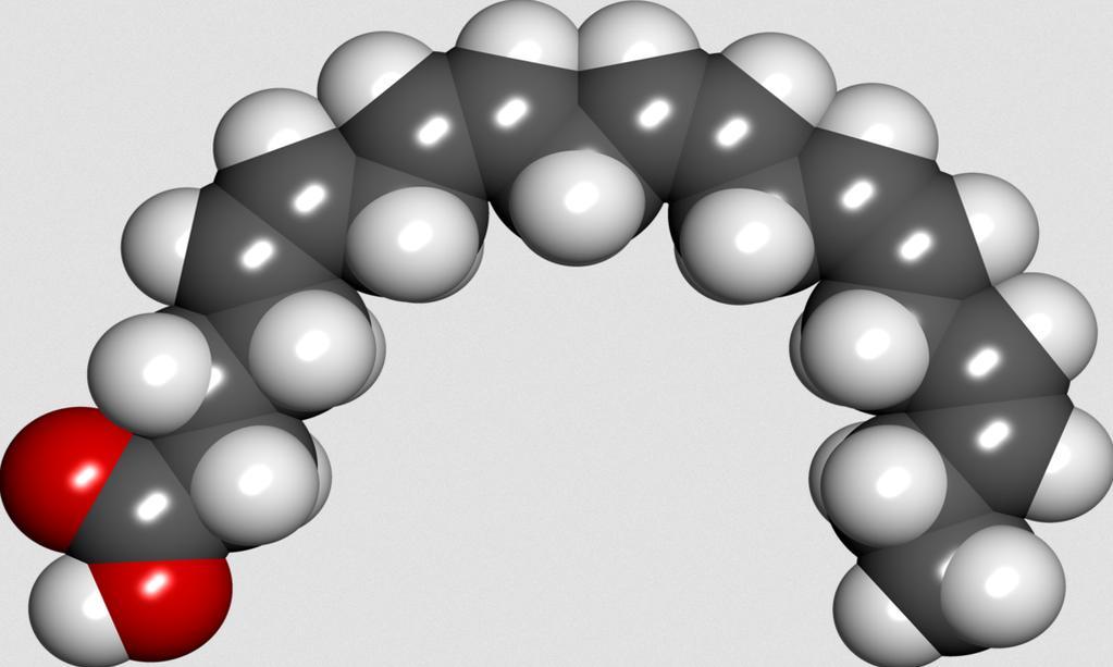 A space-filling molecular model of eicosapentaenoic acid (EPA).