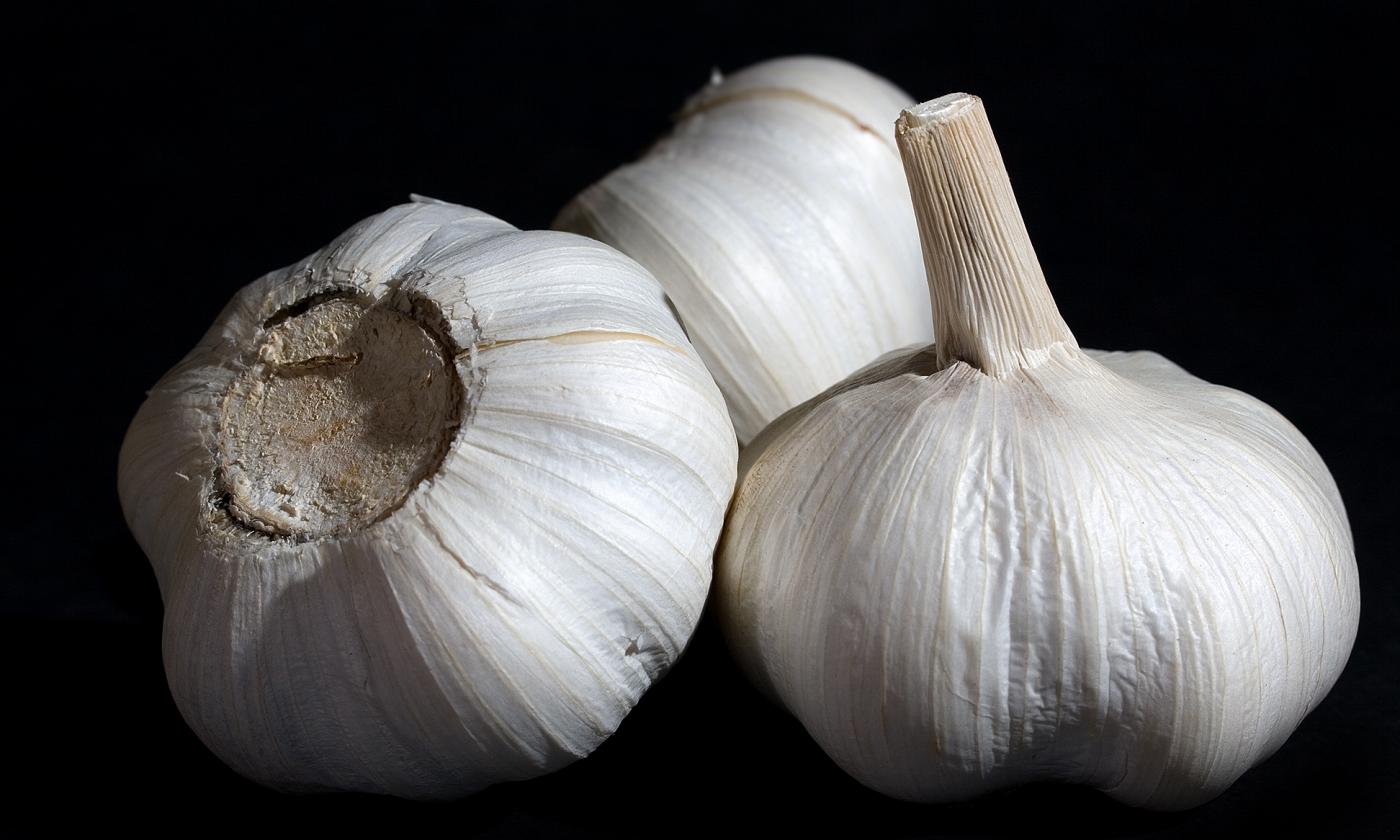 Knoblauch (Allium sativum), roh: Drei geschlossene Knoblauchzwiebeln auf schwarzem Hintergrund. Knoblauch (Allium sativum), roh: Drei geschlossene Knoblauchzwiebeln auf schwarzem Hintergrund.