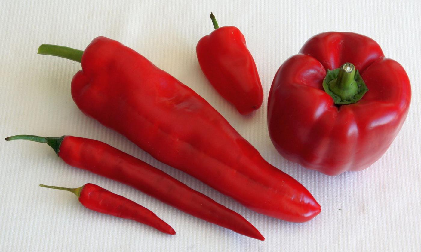 Calorías pimiento rojo