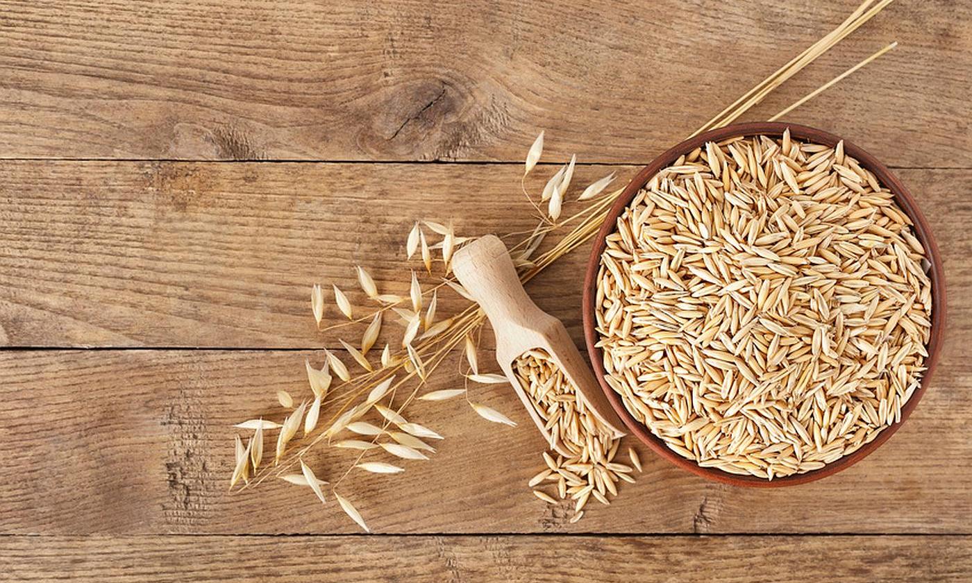 Avena como espigas de trigo izquierda, granos de avena en una cuchara medidora y una olla. Avena como espigas de trigo izquierda, granos de avena en una cuchara medidora y una olla.