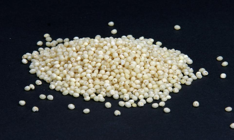 Mijo, crudo - Panicum miliaceum L: Semillas amontonadas en una superficie negra.