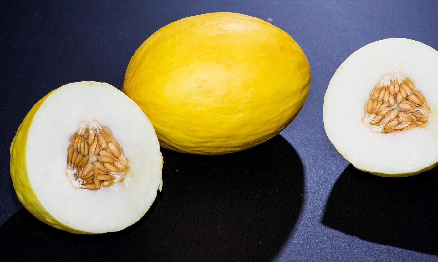 Honigmelone Roh