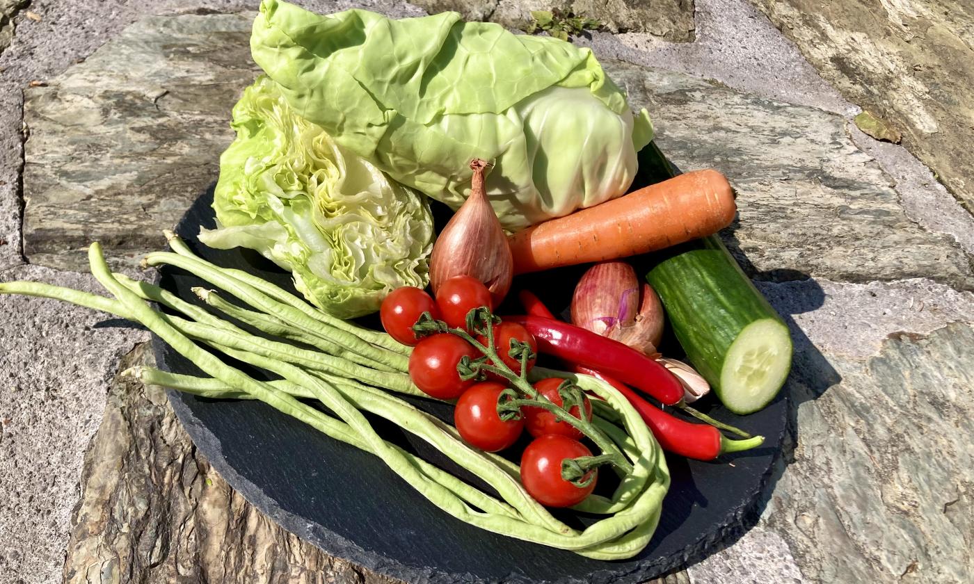 Bild vorbereiteter Zutaten für "Chili-Dip mit rohen Schlangenbohnen, Karotten und Kohl".