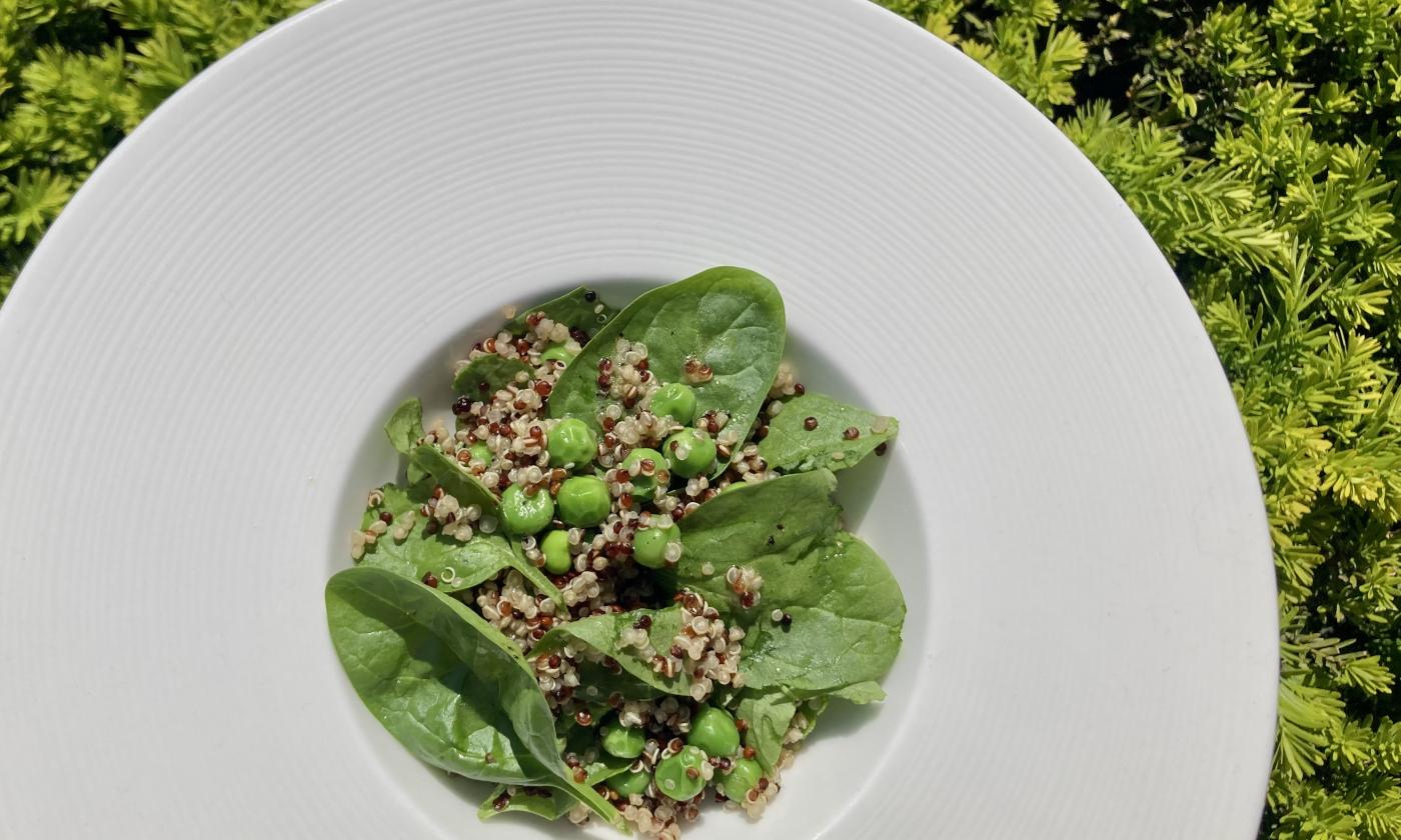 Imagen más lejana de la receta de la “ensalada tibia de quinoa con espinacas y guisantes”.