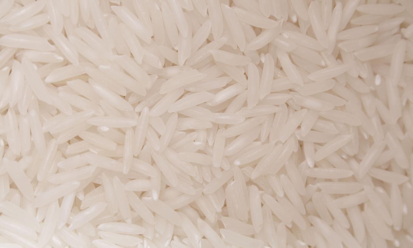 Arroz jazmín aromático. Oryza sativa: primer plano de arroz jazmín aromático sin procesar. Arroz jazmín aromático. Oryza sativa: primer plano de arroz jazmín aromático sin procesar.