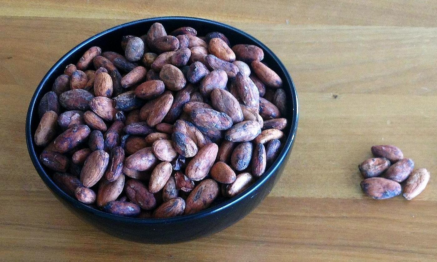 Raw cocoa beans with skin in a black bowl. Ground, they serve as a raw material for chocolate etc.