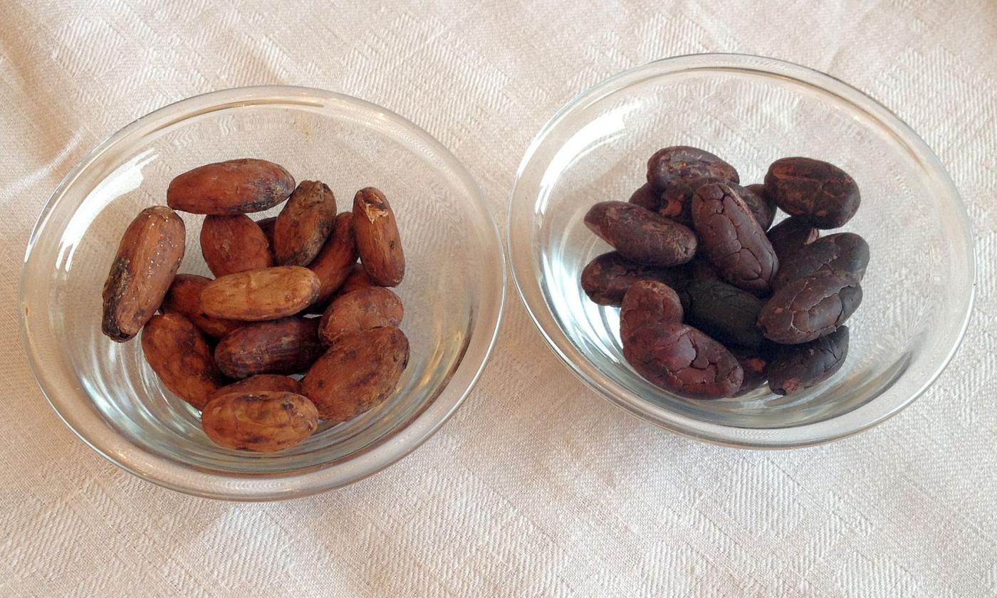 Rohe Kakaobohnen in Glasschalen, links mit Haut, rechts ohne - für rohe Schokoladencrème.