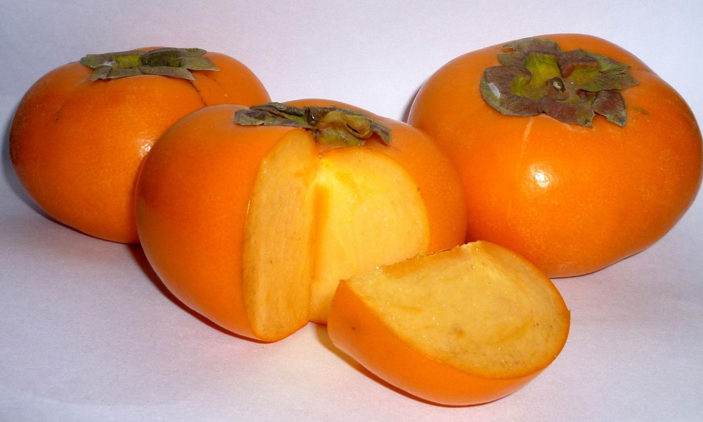 8 important stages of growing persimmon from the stone 46 8 important stages of growing persimmon from the stone 18