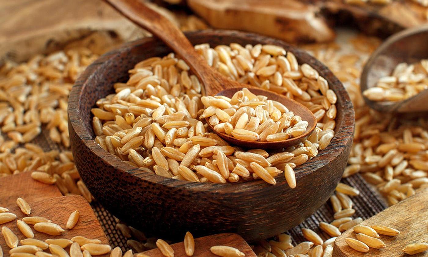 Trigo Kamut o Khorasan, Triticum turgidum subsp. Turanicum todavía crudo en un tazón de madera. Trigo Kamut o Khorasan, Triticum turgidum subsp. Turanicum todavía crudo en un tazón de madera.