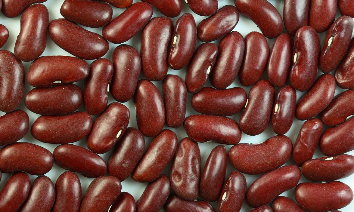 Бобы почки, сырые, лежащие на поверхности. Почечные бобы имеют этот коричнево-красный цвет. Бобы почки, сырые, лежащие на поверхности. Почечные бобы имеют этот коричнево-красный цвет.