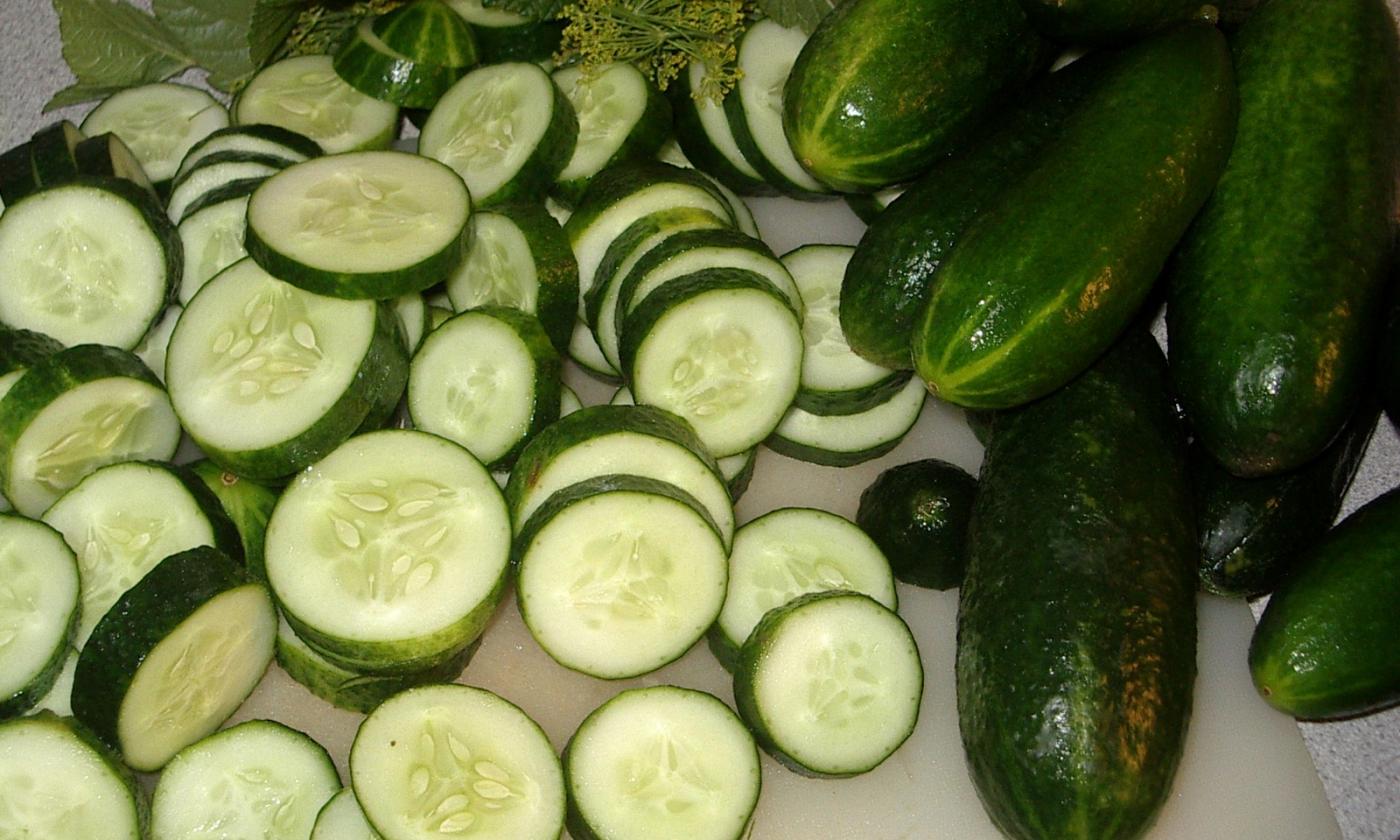 I cetrioli tagliati a fette pronti per essere assunti. Cucumis sativus. I cetrioli tagliati a fette pronti per essere assunti. Cucumis sativus.