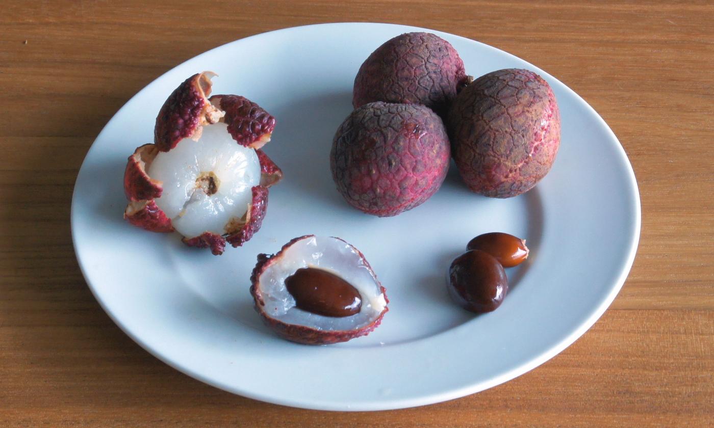 Piatto con litchi: frutto intatto, frutto parzialmente decorticato e semi.