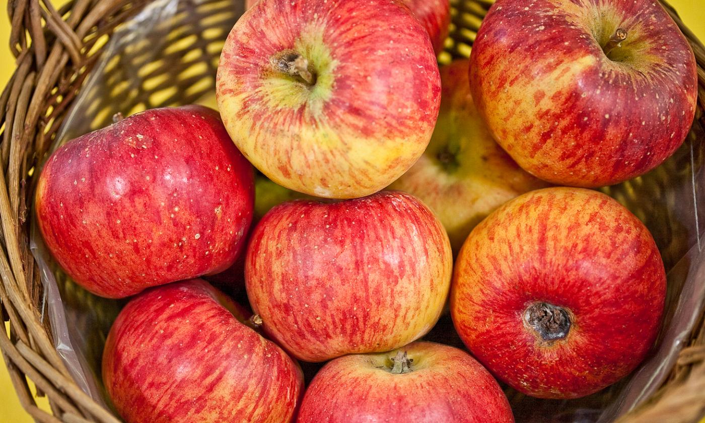 Apple, with peel (Malus domestica), freshly harvested apples in a basket, ready for sale. Apple, with peel (Malus domestica), freshly harvested apples in a basket, ready for sale.