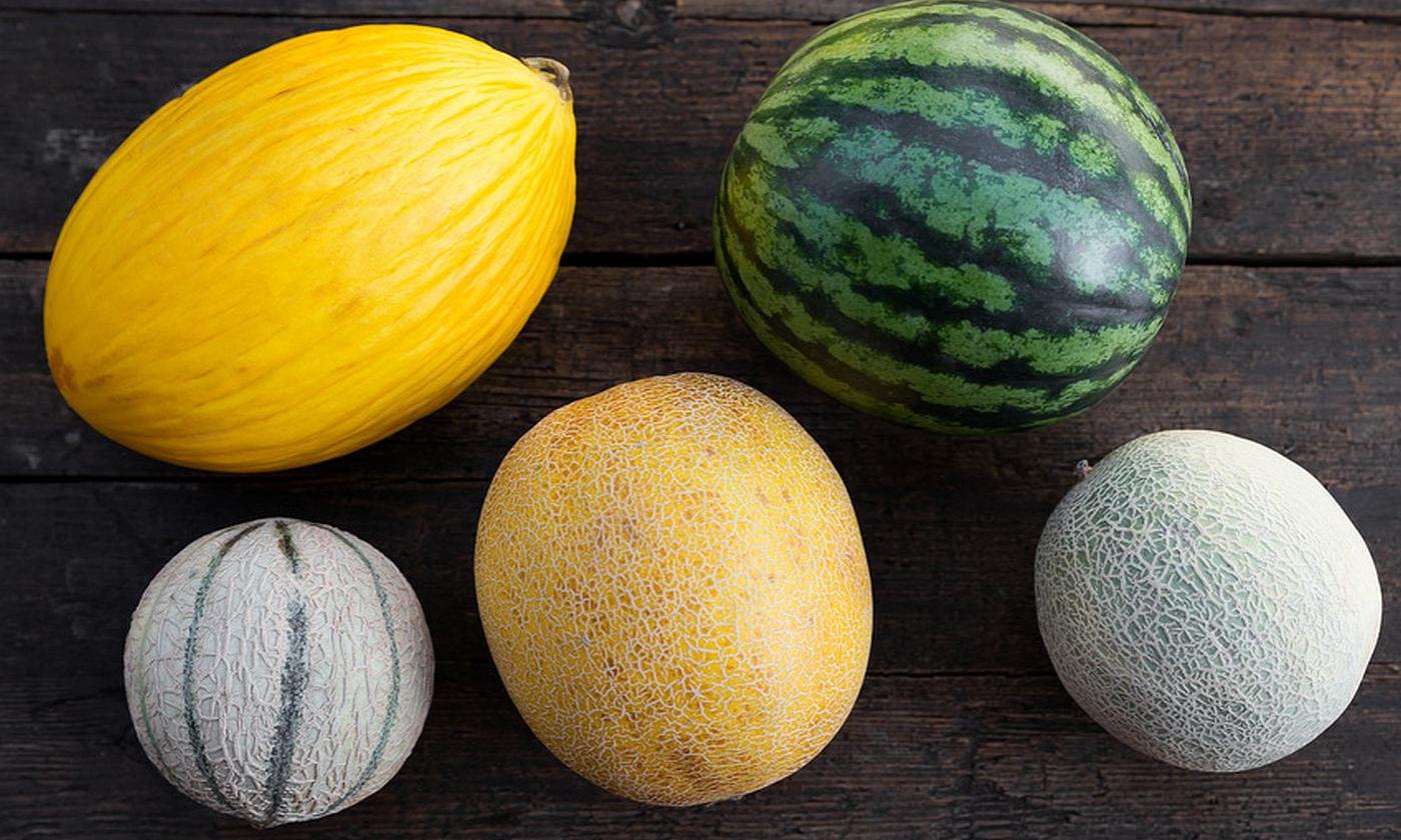 Variedades de melón y sandía: arriba a la izquierda, melón amarillo canario. A la derecha, sandía.