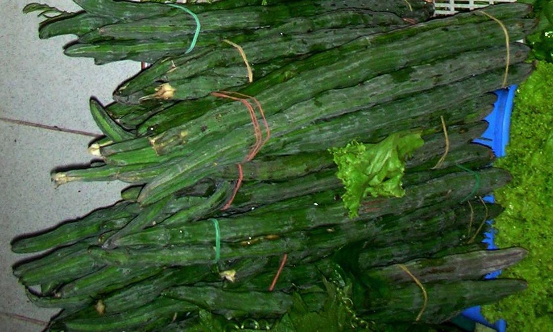 Ramilletes de vainas de moringa crudas. Moringa oleifera. Ramilletes de vainas de moringa crudas. Moringa oleifera.