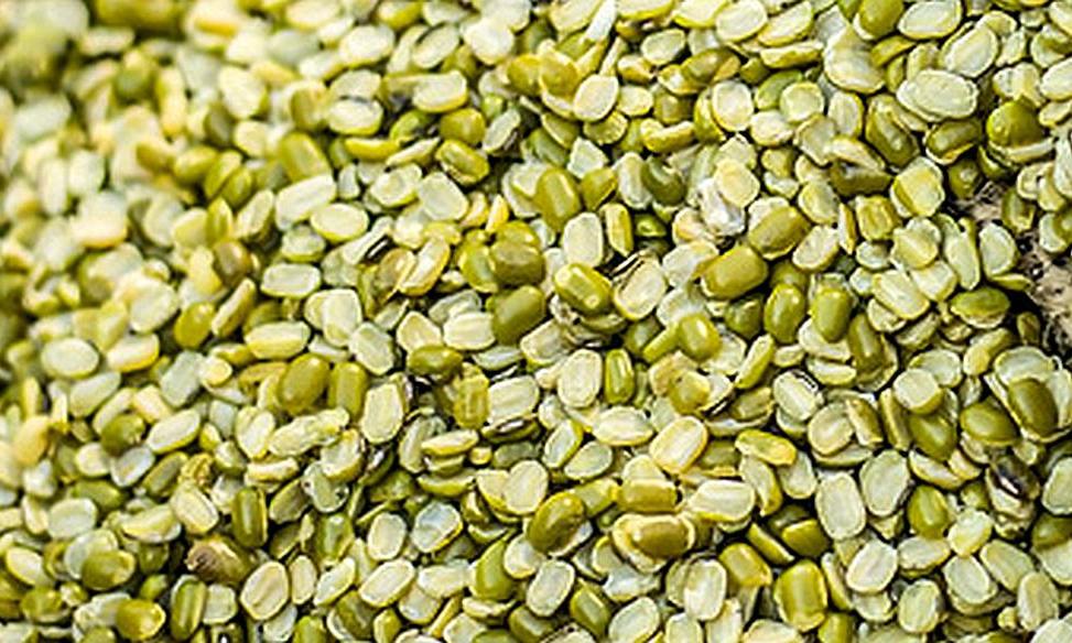 Moong Dal (Mung Daal, bio?, roh?) | Stiftung G+E