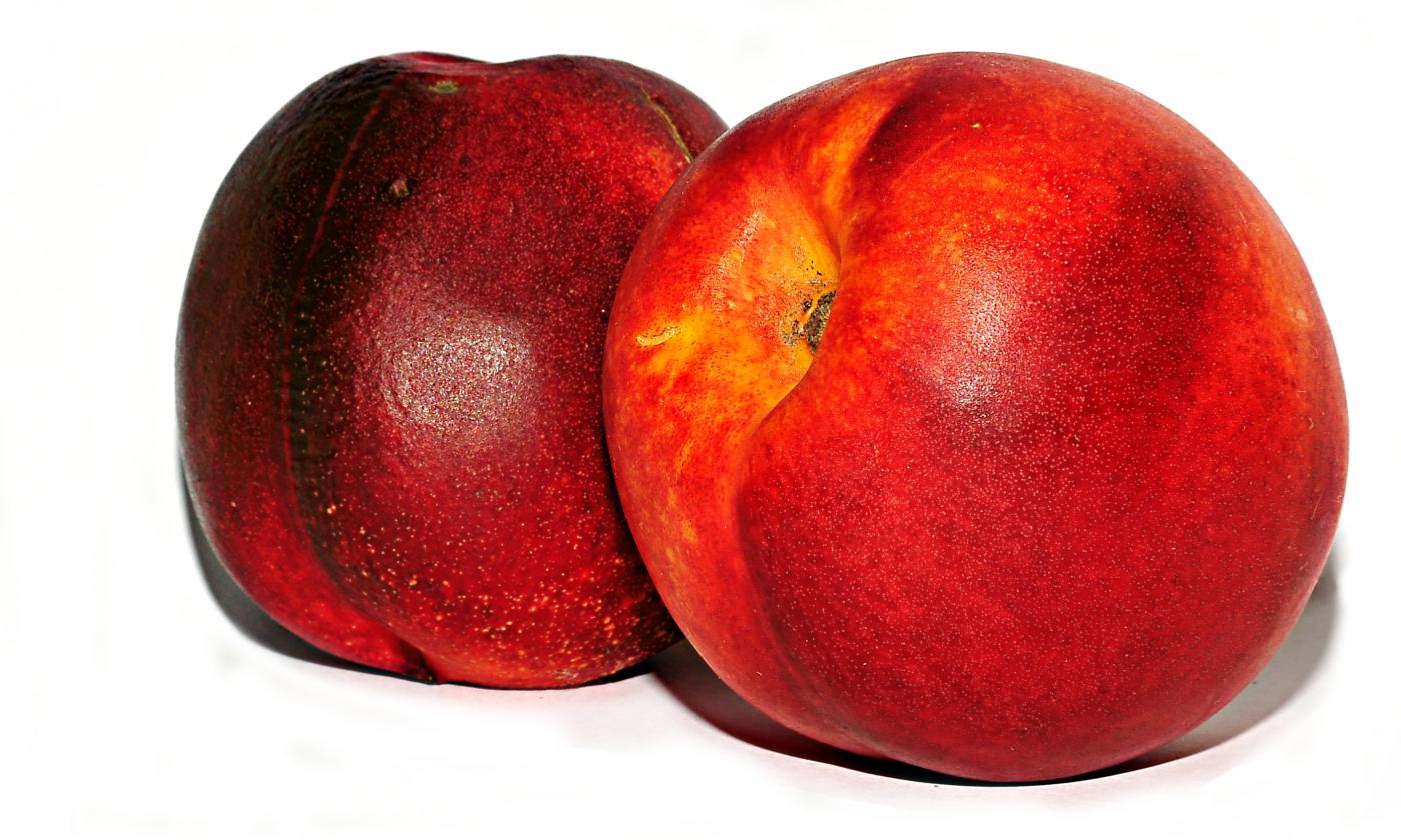 Two darker nectarines, exposed - Prunus persica var. Nucipersica.