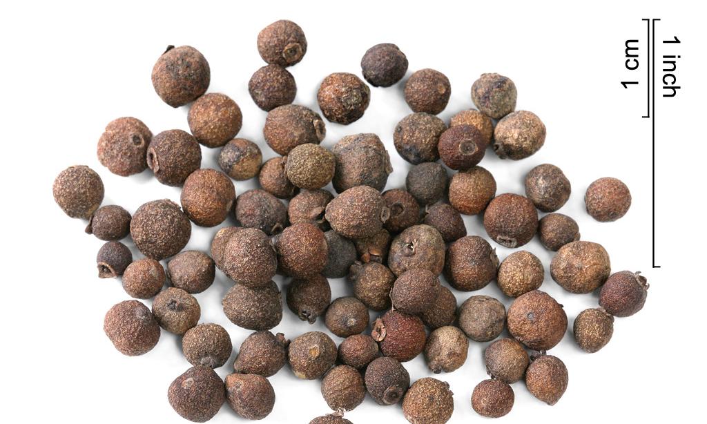 Allspice grains - Pimenta dioica - on a white background. The spice is also available ground. Allspice grains - Pimenta dioica - on a white background. The spice is also available ground.