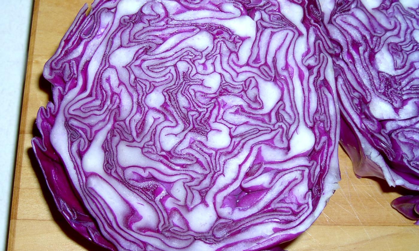 Rotkohl, roh (bio?) | Stiftung G+E