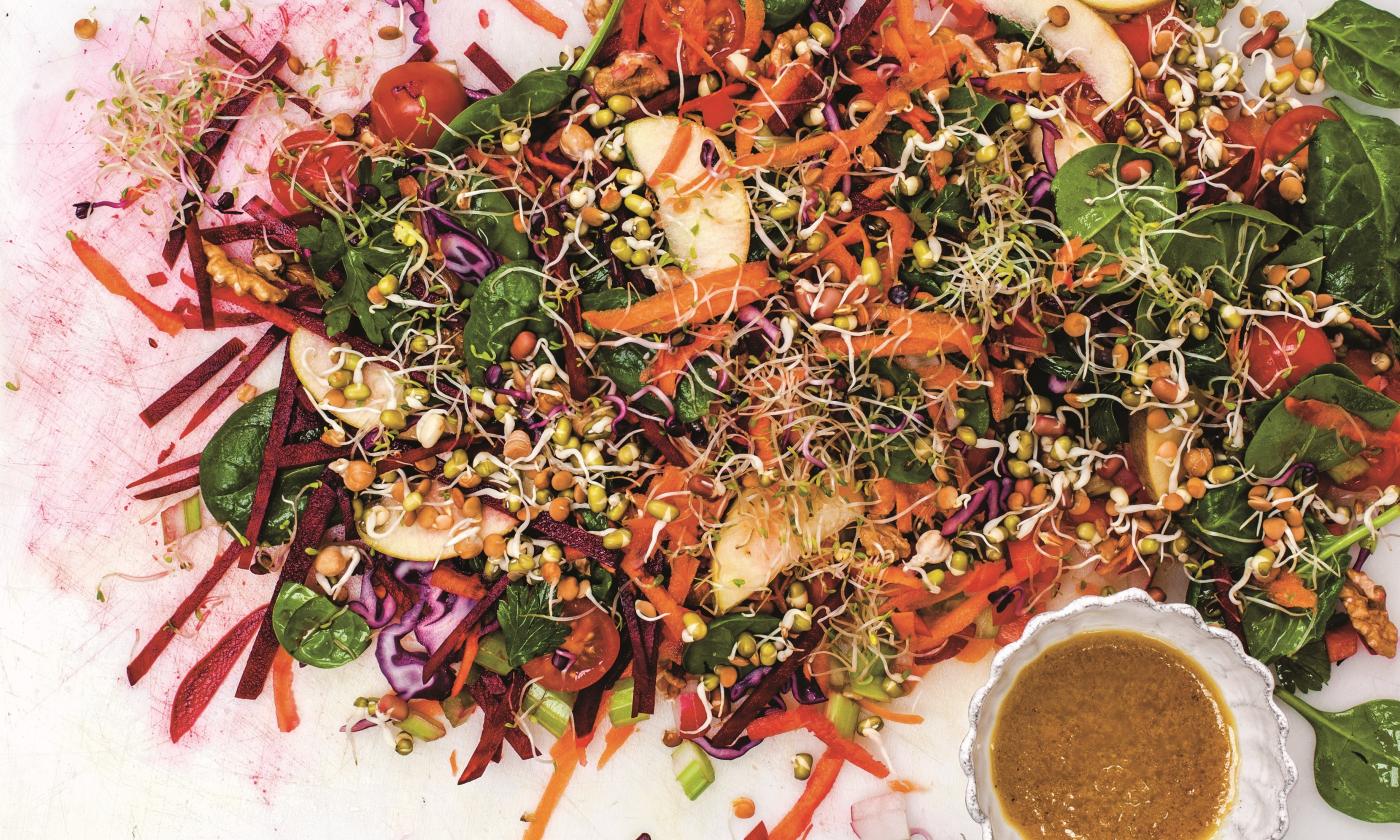 Roher Sprossensalat mit Rotkohl und Roter Bete | Stiftung G+E