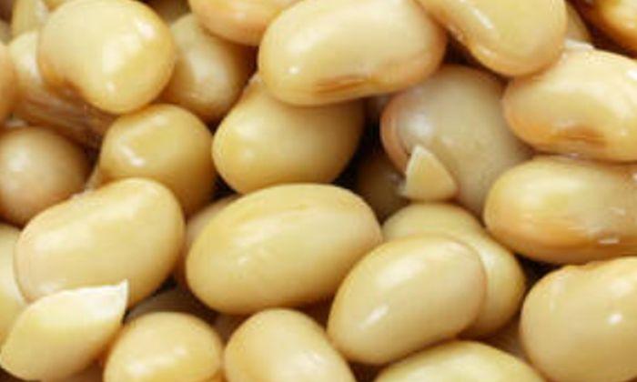 Freshly cooked soybeans, closeup. Buy organic if possible. Freshly cooked soybeans, closeup. Buy organic if possible.