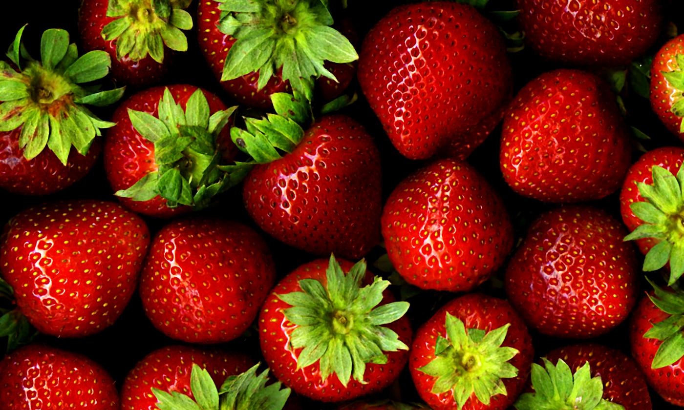 Strawberries, fresh (Fragaria X ananassa): on display and ready to purchase. Strawberries, fresh (Fragaria X ananassa): on display and ready to purchase.