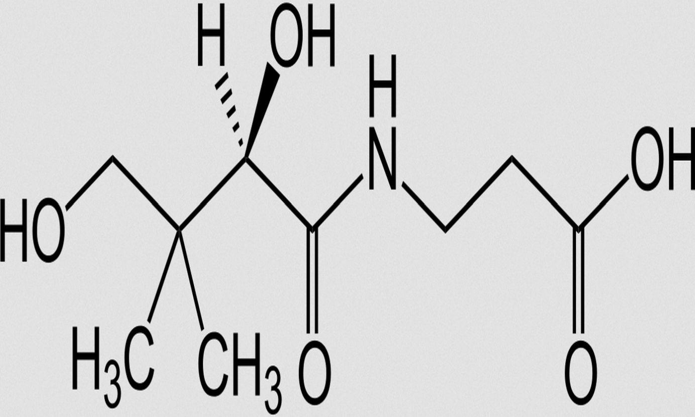 Формула спорит. Пантотеновая кислота b5 формула. Витамин в5 пантотеновая кислота формула. Витамин b5 структурная формула. Витамин б5 формула химическая.