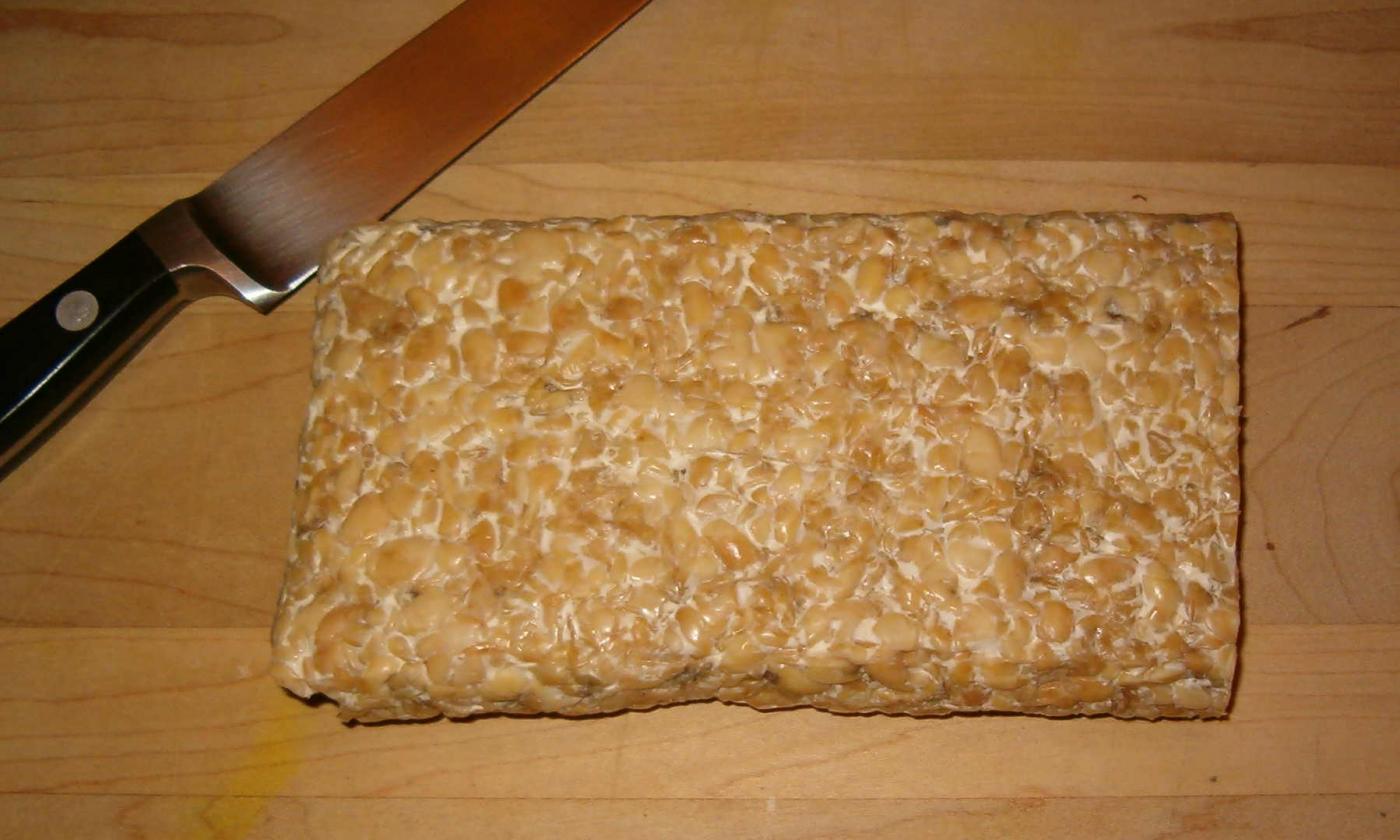 Immagine di tempeh pubblicata dal fotografo e utente "Cdc" su Wikipedia. Immagine di tempeh pubblicata dal fotografo e utente "Cdc" su Wikipedia.