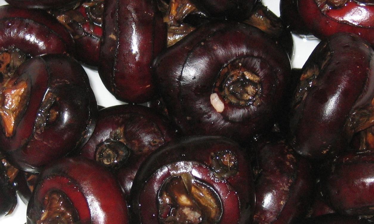 Chinese water chestnuts, raw - Eleocharis dulcis - photographed in Wuxi, China. Chinese water chestnuts, raw - Eleocharis dulcis - photographed in Wuxi, China.