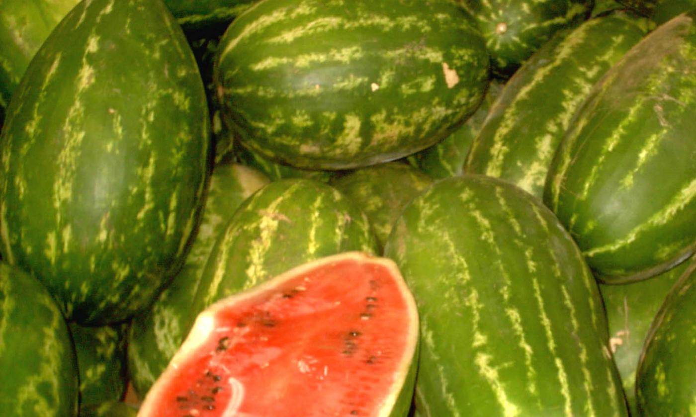 Sandías crudas amontonadas. Una de ellas está cortada por la mitad. Citrullus lanatus.